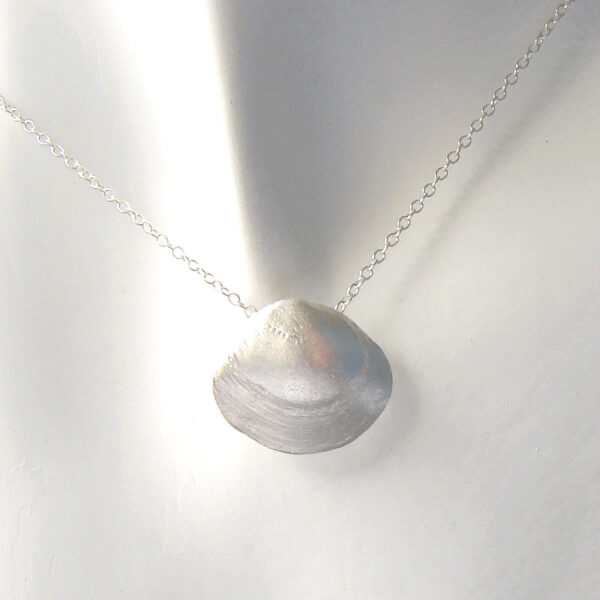 Little Tellin Shell Silver Pendant. Delicate silver shell necklace.